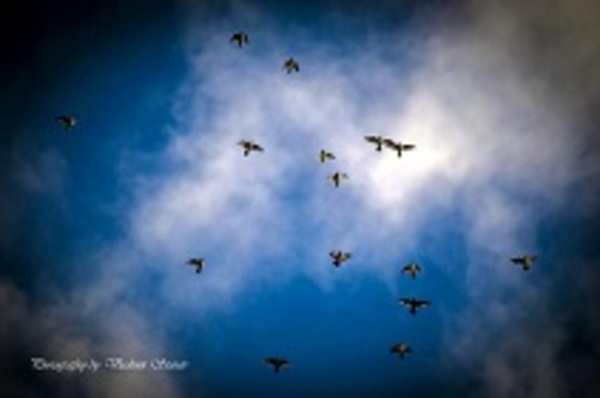 %d0%bc%d0%bc%d0%bc%d0%bc%d0%bc%d0%bc%d0%bc%d0%bc%d0%bc%d0%bc%d0%bc%d0%bc%d0%bc%d0%bc%d0%bc%d0%bc%d0%bc%d0%bc%d0%bc%d0%bc%d0%bc%d0%bc