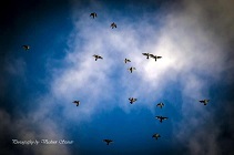 %d0%bc%d0%bc%d0%bc%d0%bc%d0%bc%d0%bc%d0%bc%d0%bc%d0%bc%d0%bc%d0%bc%d0%bc%d0%bc%d0%bc%d0%bc%d0%bc%d0%bc%d0%bc%d0%bc%d0%bc%d0%bc%d0%bc