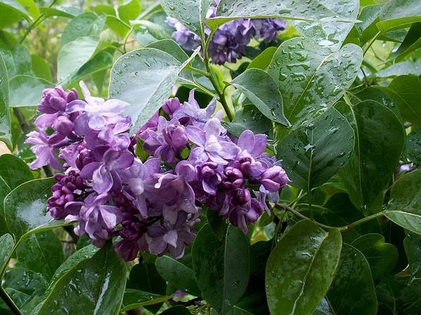 496941499 3861762290755786 6601162025389355629 n