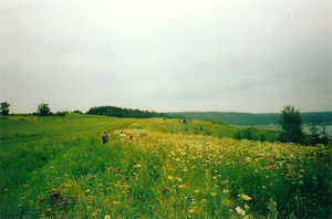 %d0%a4%d0%be%d1%82%d0%be %d0%9a%d0%be%d1%80%d0%be%d1%82%d0%ba%d0%b8%d0%b5 %d1%83%d1%80%d0%b0%d0%bb%d1%8c%d1%81%d0%ba%d0%b8%d0%b5 %d1%81%d0%b5%d0%b7%d0%be%d0%bd%d1%8b