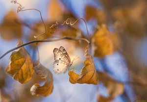 %d0%a4%d0%be%d1%82%d0%be %d0%a1%d1%82%d0%be%d1%8f%d0%bb %d1%81%d0%b5%d0%bd%d1%82%d1%8f%d0%b1%d1%80%d1%8c