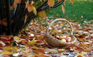 %d0%a4%d0%be%d1%82%d0%be %d0%a1%d0%b5%d0%bd%d1%82%d1%8f%d0%b1%d1%80%d1%8c%d1%81%d0%ba%d0%b8%d0%b9 %d1%80%d0%b0%d0%b9