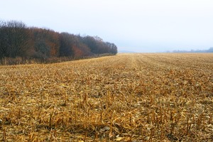 %d0%a4%d0%be%d1%82%d0%be %d0%91%d1%83%d0%ba%d0%b2%d0%b0%d1%80%d1%8c