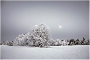 %d0%a4%d0%be%d1%82%d0%be %d0%a0%d0%b0%d0%b7%d0%b4%d0%be%d0%bb%d1%8c%d0%b5 %d1%81%d0%bd%d0%b5%d0%b6%d0%bd%d1%8b%d1%85 %d1%8f%d0%bd%d0%b2%d0%b0%d1%80%d0%b5%d0%b9