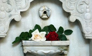 %d0%a4%d0%be%d1%82%d0%be %d0%9f%d0%be%d0%bb%d1%83%d0%be%d1%81%d1%82%d1%80%d0%be%d0%b2 %d1%80%d0%b0%d1%8f