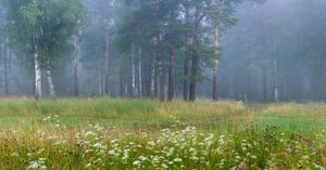 %d0%a4%d0%be%d1%82%d0%be %d0%90 %d0%b6%d0%b0%d0%bb%d1%8c...