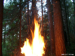 %d0%a4%d0%be%d1%82%d0%be %d0%a1%d1%8b%d0%b3%d1%80%d0%b0%d0%b9 %d0%bc%d0%bd%d0%b5  %d1%88%d0%b0%d1%80%d0%bc%d0%b0%d0%bd%d1%89%d0%b8%d0%ba