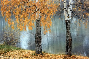 %d0%a4%d0%be%d1%82%d0%be %d0%9e%d0%ba%d1%82%d1%8f%d0%b1%d1%80%d1%8c%d1%81%d0%ba%d0%be%d0%b5