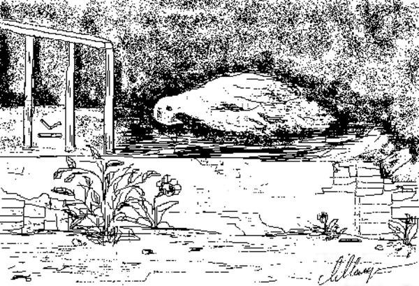 %d0%9f%d1%82%d0%b8%d1%86%d0%b0