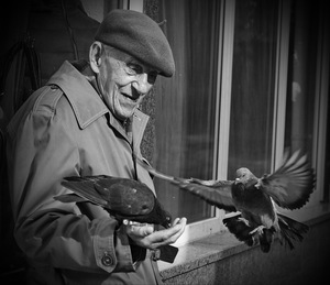 33184414360 b91a1be936 o