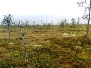 %d0%a4%d0%be%d1%82%d0%be2711