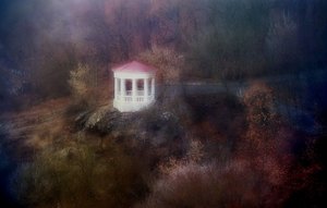 31430157977 4346269b2d k