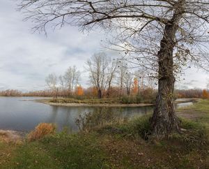 %d0%a4%d0%be%d1%82%d0%be %d0%9f%d1%80%d0%b8%d0%b2%d0%ba%d1%83%d1%81 %d0%be%d0%ba%d1%82%d1%8f%d0%b1%d1%80%d1%8f