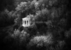 15256065483 7e5e84c46b o