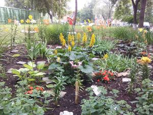 %d0%a4%d0%be%d1%82%d0%be %d0%9c%d0%be%d1%8f %d0%a0%d0%be%d1%81%d1%81%d0%b8%d1%8f