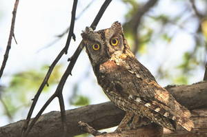 %d0%a1%d0%9f%d0%9b%d0%ae