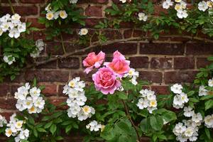 497449705 3863219267276755 6999928408006909390 n