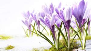 Fb img 1694414791396