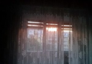 243109740 257034759642755 131826216431496246 n