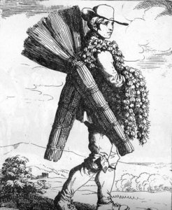 B pinelli lo scoparo