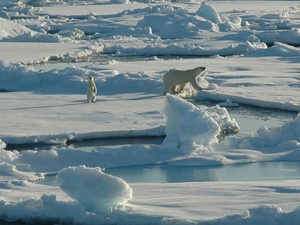 %d0%a4%d0%be%d1%82%d0%be %d0%a1%d0%b5%d0%b2%d0%b5%d1%80%d0%b0