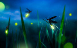 Gl%c3%bchw%c3%bcrmchen