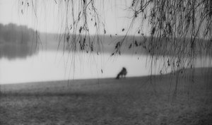 12341050393 fef43afc5b k