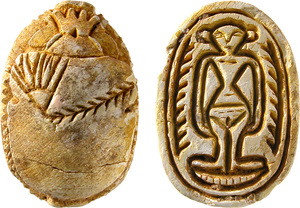 Scarabee collection 800