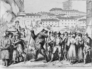 B pinelli orso font trevi