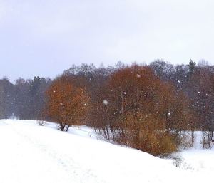 %d1%81%d0%bd%d0%b5%d0%b32023 3