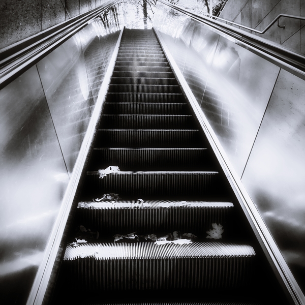 031460451fb8c349fcd2e985db9e9e37b365