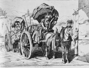 B pinelli transp vino