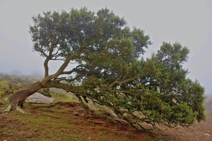 %d0%b2%d0%b5%d1%82%d0%b5%d1%80