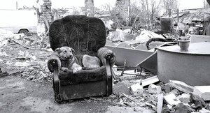 %d1%81%d0%be%d0%b1%d0%b0%d1%87%d0%ba%d0%b0