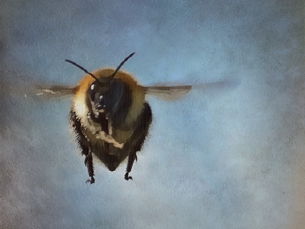 Photofunia 1755445634