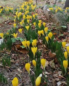 6jmqsh76mn1r0nyyc8ottl11szvntctzkq7pamvkvqzz4ympnxoc2nsia5ioy7jykym8iuexynjulmy6a0 xto6l