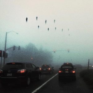 118518540 1073178976431893 3217256021205258949 n