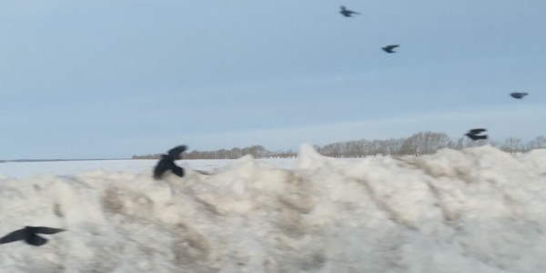 %d0%b2%d0%be%d1%80%d0%be%d0%bd%d1%8b