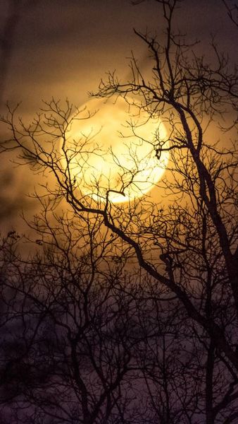 %d0%9b%d0%a3%d0%9d%d0%90