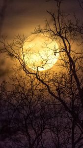 %d0%9b%d0%a3%d0%9d%d0%90