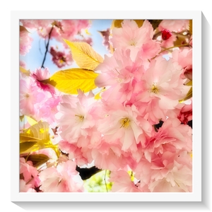 %d1%81%d0%be%d0%bb%d0%be%d0%b2%d0%b5%d0%b8%cc%86