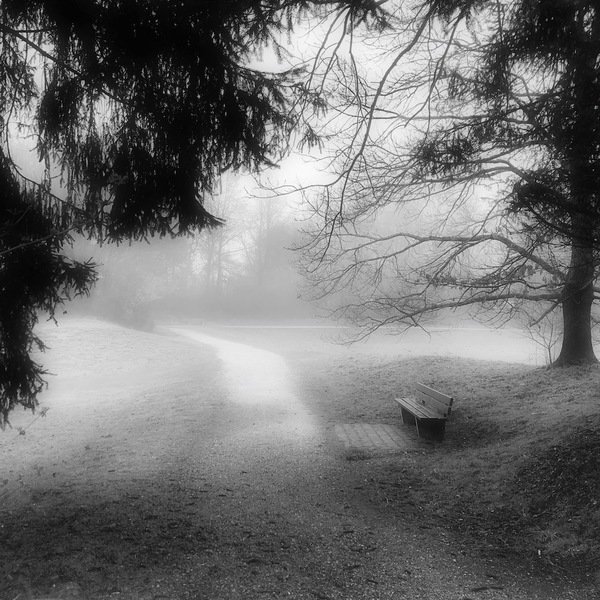 %d1%82%d1%83%d0%bc%d0%b0%d0%bd%d0%bd%d0%b0%d1%8f %d1%81%d0%ba%d0%b0%d0%bc%d0%b5%d0%b8%cc%86%d0%ba%d0%b0