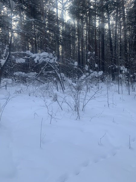 8150bcc2 7720 4bc1 ad92 4e57d3ec366b