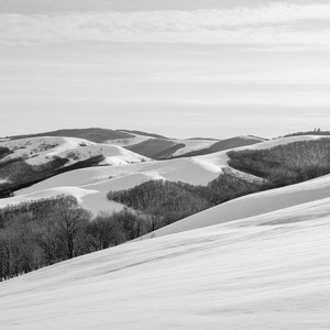 Generated image 4d30ba3812e511f1bd8dbed1f8953139 1