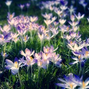 Dsc01552 2%c2%a0%e2%80%94 %d0%ba%d0%be%d0%bf%d0%b8%d1%8f 2048