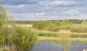 96232436 2539816306283731 1059470399294668800 n