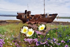 %d1%81%d0%b5%d0%b2%d0%b5%d1%80%d0%bc