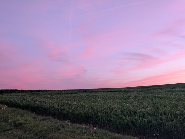 Pxl 20260411 184922908.portrait