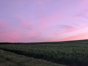 Pxl 20260411 184922908.portrait