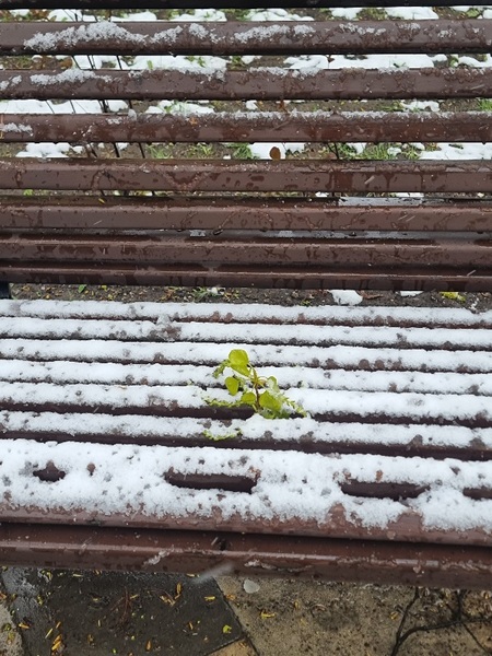 20260428 111014%281%29